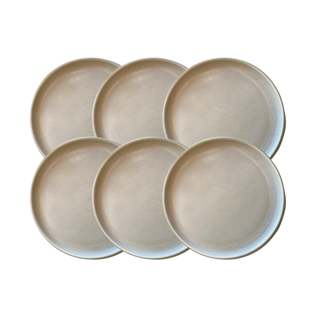 JOGO 6 PRATOS RASOS PORCELANA BOLD